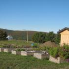 Jardins communautaires au printemps